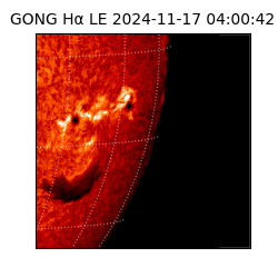 gong - 2024-11-17T04:00:42