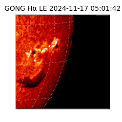 gong - 2024-11-17T05:01:42