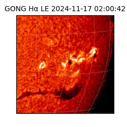 gong - 2024-11-17T02:00:42