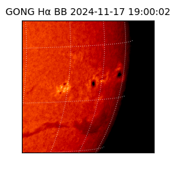 gong - 2024-11-17T19:00:02