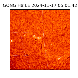 gong - 2024-11-17T05:01:42