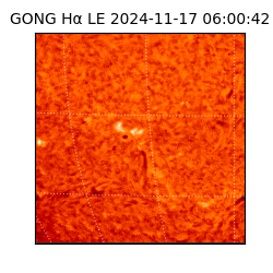 gong - 2024-11-17T06:00:42