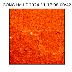 gong - 2024-11-17T08:00:42