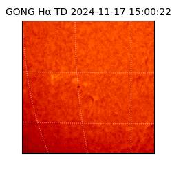 gong - 2024-11-17T15:00:22