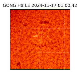 gong - 2024-11-17T01:00:42