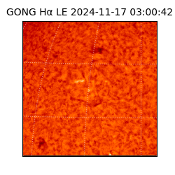 gong - 2024-11-17T03:00:42