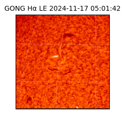 gong - 2024-11-17T05:01:42