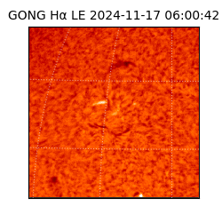 gong - 2024-11-17T06:00:42