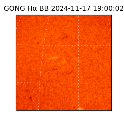 gong - 2024-11-17T19:00:02