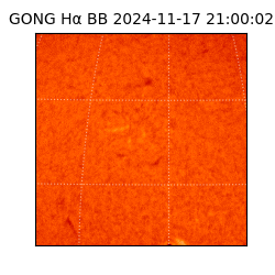 gong - 2024-11-17T21:00:02