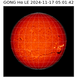 gong - 2024-11-17T05:01:42