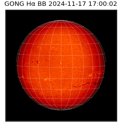 gong - 2024-11-17T17:00:02