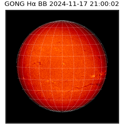 gong - 2024-11-17T21:00:02