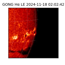 gong - 2024-11-18T02:02:42