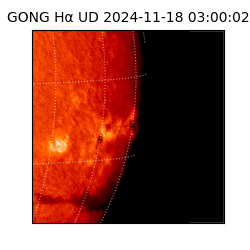 gong - 2024-11-18T03:00:02