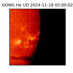 gong - 2024-11-18T05:00:02