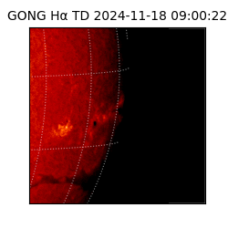 gong - 2024-11-18T09:00:22