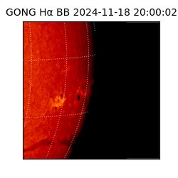 gong - 2024-11-18T20:00:02