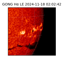 gong - 2024-11-18T02:02:42