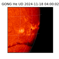 gong - 2024-11-18T04:00:02