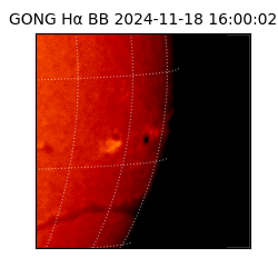 gong - 2024-11-18T16:00:02