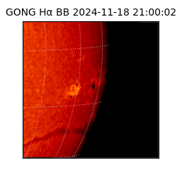 gong - 2024-11-18T21:00:02