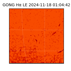 gong - 2024-11-18T01:04:42