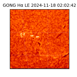 gong - 2024-11-18T02:02:42