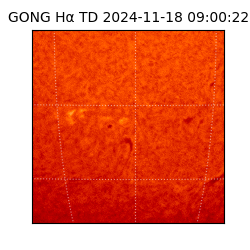 gong - 2024-11-18T09:00:22