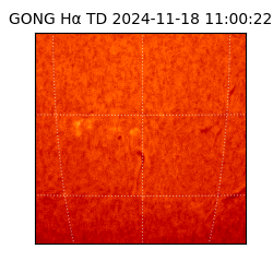 gong - 2024-11-18T11:00:22