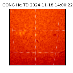 gong - 2024-11-18T14:00:22