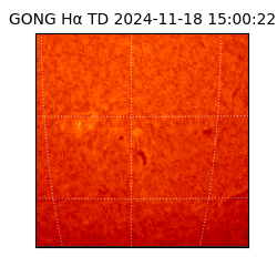 gong - 2024-11-18T15:00:22