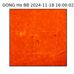 gong - 2024-11-18T16:00:02