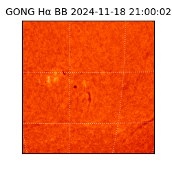 gong - 2024-11-18T21:00:02