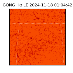 gong - 2024-11-18T01:04:42