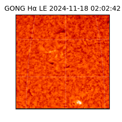 gong - 2024-11-18T02:02:42