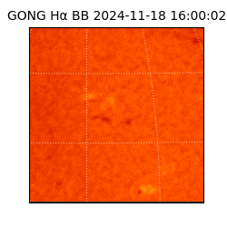 gong - 2024-11-18T16:00:02