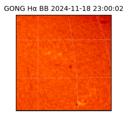 gong - 2024-11-18T23:00:02