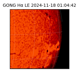 gong - 2024-11-18T01:04:42