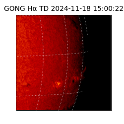 gong - 2024-11-18T15:00:22