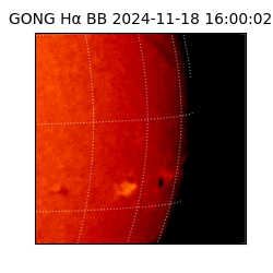 gong - 2024-11-18T16:00:02