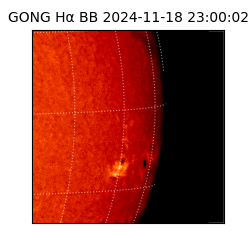 gong - 2024-11-18T23:00:02