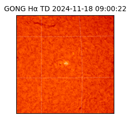 gong - 2024-11-18T09:00:22