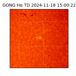 gong - 2024-11-18T15:00:22