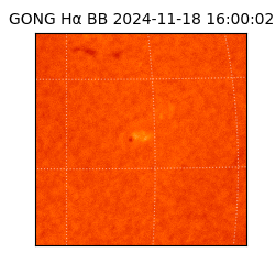 gong - 2024-11-18T16:00:02