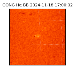 gong - 2024-11-18T17:00:02