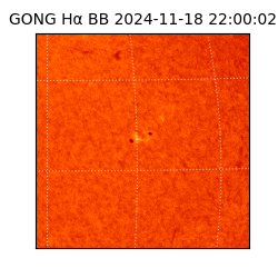 gong - 2024-11-18T22:00:02