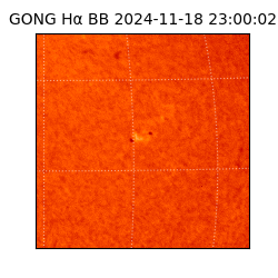 gong - 2024-11-18T23:00:02