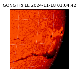 gong - 2024-11-18T01:04:42