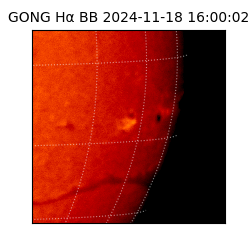 gong - 2024-11-18T16:00:02